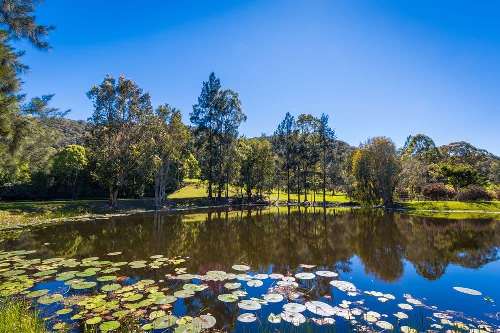 Lake - Friday Creek Retreat