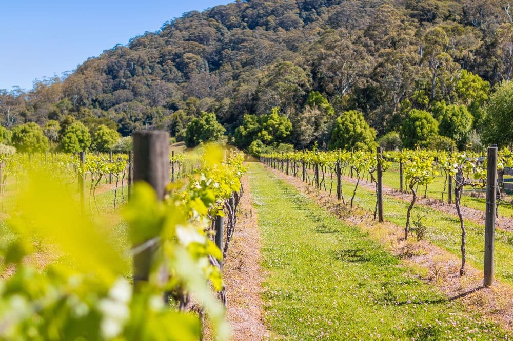 Friday Creek Facilities